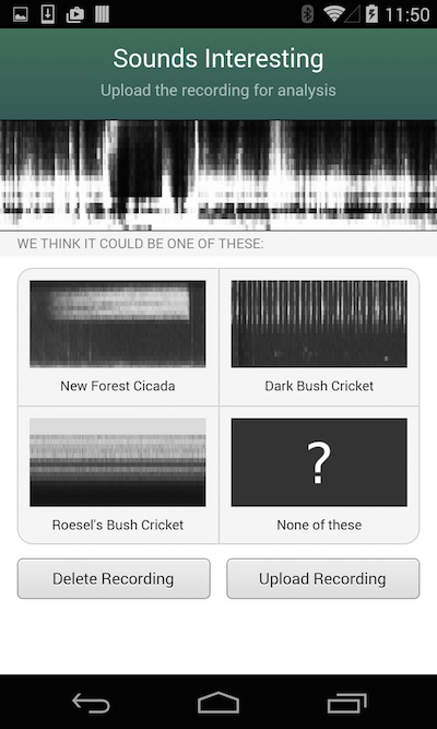 Cicada mobile app screenshot of reports UI